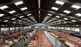 The modern-day space race